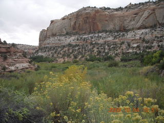 148 704. Escalante - Calf Creek trail
