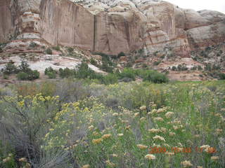 151 704. Escalante - Calf Creek trail