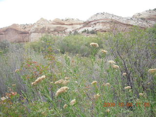 153 704. Escalante - Calf Creek trail