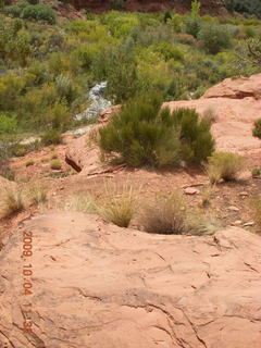 157 704. Escalante - Calf Creek trail