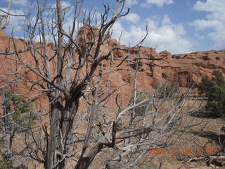 215 704. Escalante to Kodachrome - Panorama trail