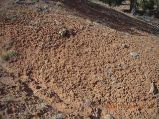 223 704. Escalante to Kodachrome - Panorama trail