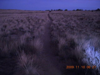4 71a. Lathrop trail hike - pre-dawn trail lit by headlight