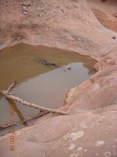 3 71c. Arches National Park - Devils Garden hike - big puddle