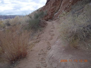 185 71d. Little Wild Horse Pass slot-canyon hike