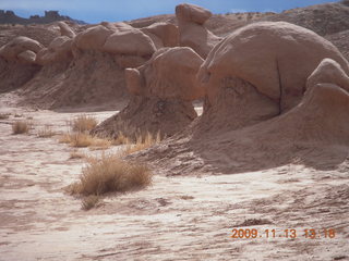 212 71d. Goblin Valley State Park mushrooms