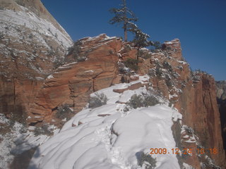 63 72q. Zion National Park - Angels Landing hike