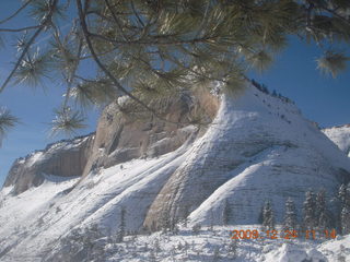 95 72q. Zion National Park - west rim hike