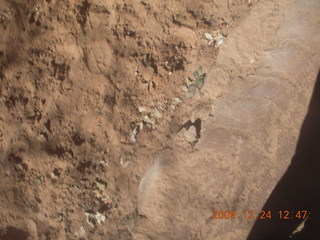 129 72q. Zion National Park - down from Angels Landing