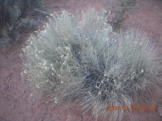 21 72r. Zion National Park - Watchman hike