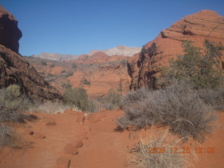 134 72r. Snow Canyon State Park - Hidden Pinyon trail