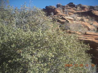 145 72r. Snow Canyon State Park - Hidden Pinyon trail