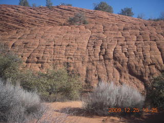 167 72r. Snow Canyon State Park - Butterfly trail