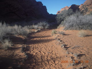 213 72r. Snow Canyon State Park - Petrified Sand Dunes trail