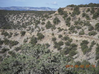 53 772. Sage Brush, Peter's Point run