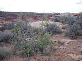 95 772. Dead Horse Point hike