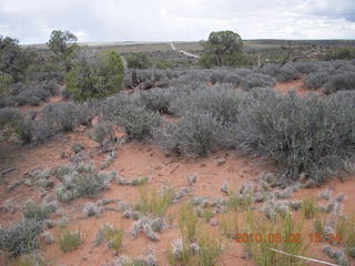 160 772. Dead Horse Point hike