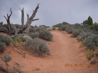 163 772. Dead Horse Point hike