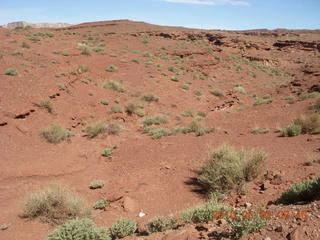 152 773. Hidden Splendor run