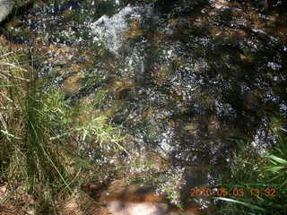 246 773. Negro Bill hike