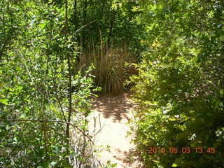 247 773. Negro Bill hike