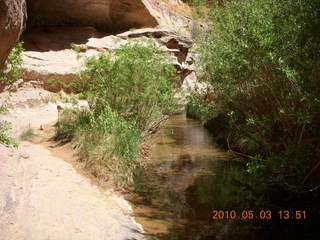 248 773. Negro Bill hike