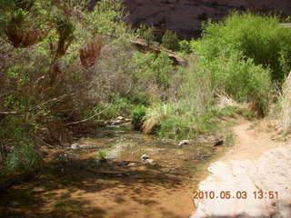 249 773. Negro Bill hike