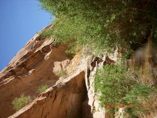 250 773. Negro Bill hike