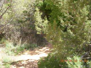 261 773. Negro Bill hike