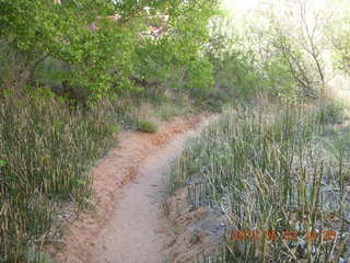 262 773. Negro Bill hike