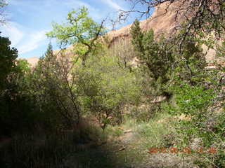 263 773. Negro Bill hike