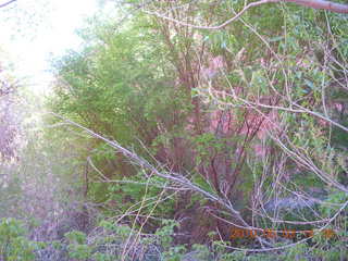 264 773. Negro Bill hike