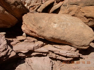 275 773. Negro Bill hike