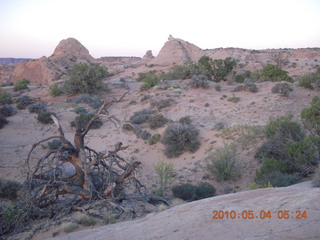 7 774. Canyonlands Lathrop Trail hike