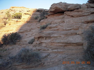 22 774. Canyonlands Lathrop Trail hike