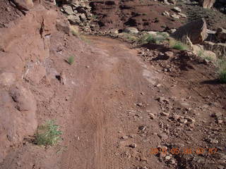 53 774. Canyonlands Lathrop Trail hike