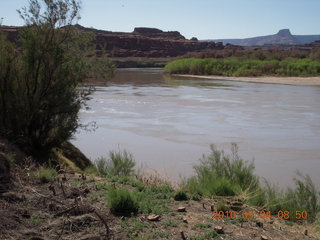 67 774. Canyonlands Lathrop Trail hike - Colorado River