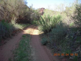 70 774. Canyonlands Lathrop Trail hike
