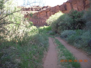 71 774. Canyonlands Lathrop Trail hike