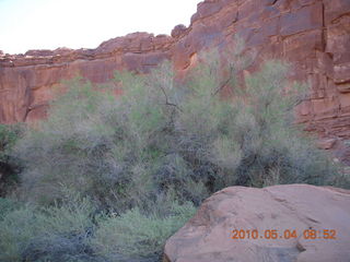 72 774. Canyonlands Lathrop Trail hike
