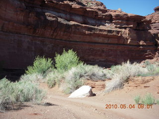 73 774. Canyonlands Lathrop Trail hike