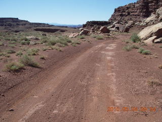 83 774. Canyonlands Lathrop Trail hike