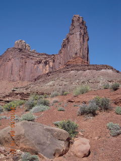 110 774. Canyonlands Lathrop Trail hike