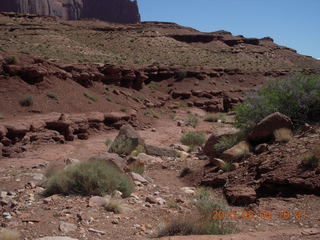 112 774. Canyonlands Lathrop Trail hike