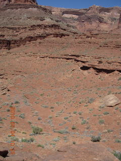 114 774. Canyonlands Lathrop Trail hike