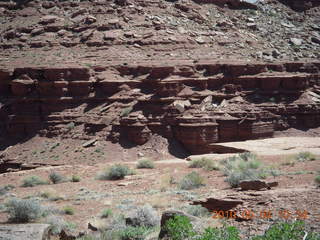 126 774. Canyonlands Lathrop Trail hike