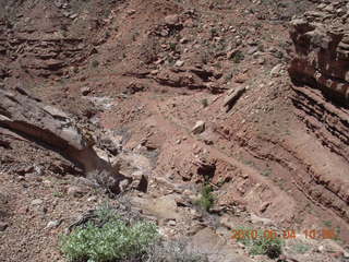 129 774. Canyonlands Lathrop Trail hike