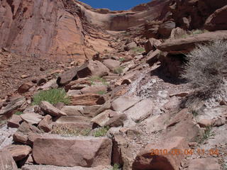 140 774. Canyonlands Lathrop Trail hike
