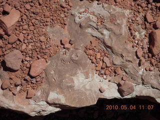 141 774. Canyonlands Lathrop Trail hike