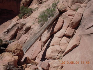 144 774. Canyonlands Lathrop Trail hike -